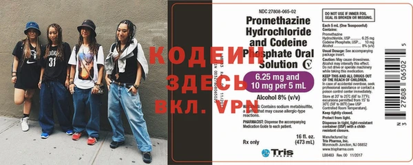 прущие грибы Абдулино